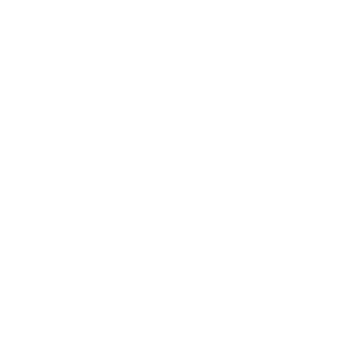 brain